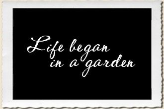 Life Began in a Garden Sign Stencil